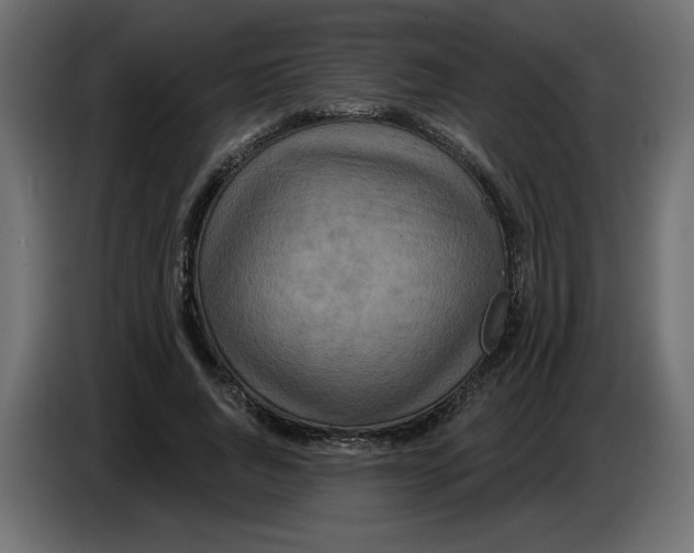 X0000086730736200705041347