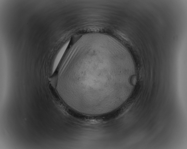 X0000086730737200705041347