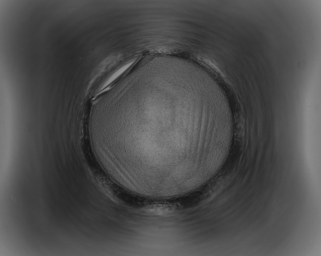 X0000086730738200705041347