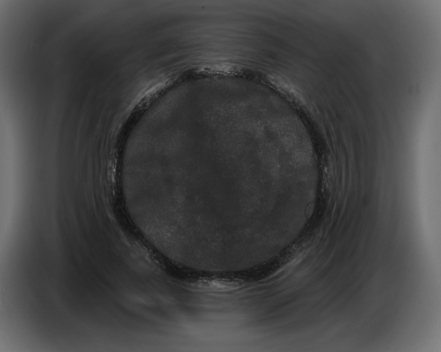 X0000086730739200705041347