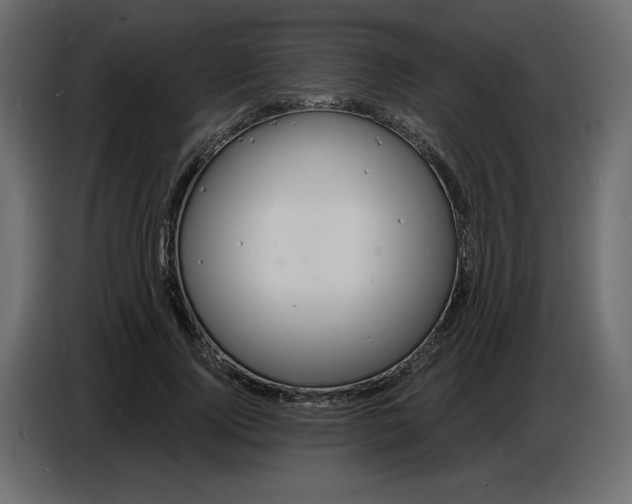 X0000086730740200705041347