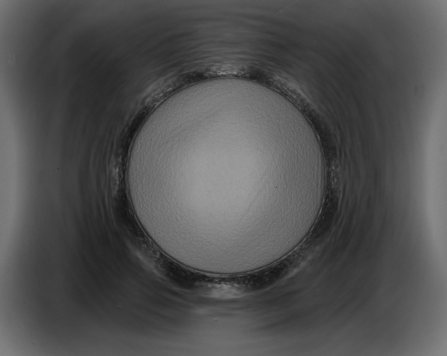 X0000086730741200705041347