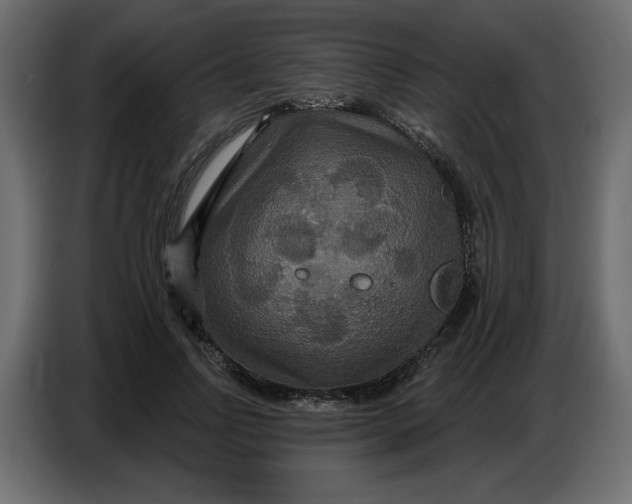 X0000086730742200705041347