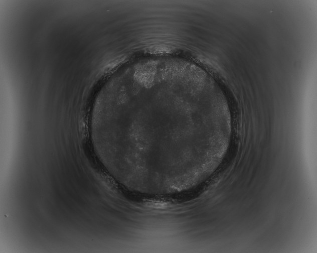 X0000086730743200705041347