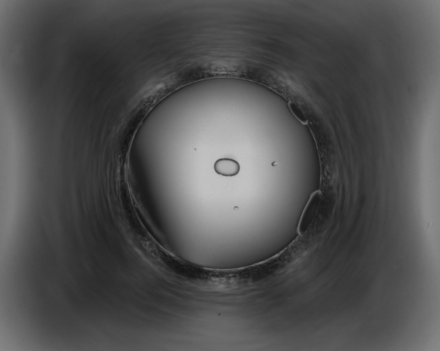 X0000086730744200705041347