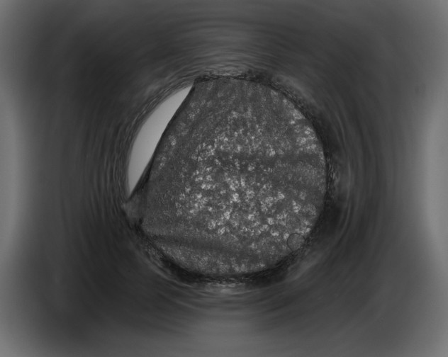 X0000086730745200705041347