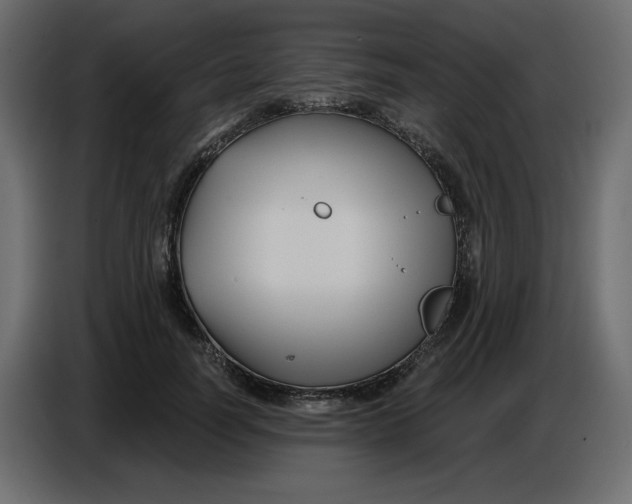 X0000086730746200705041347