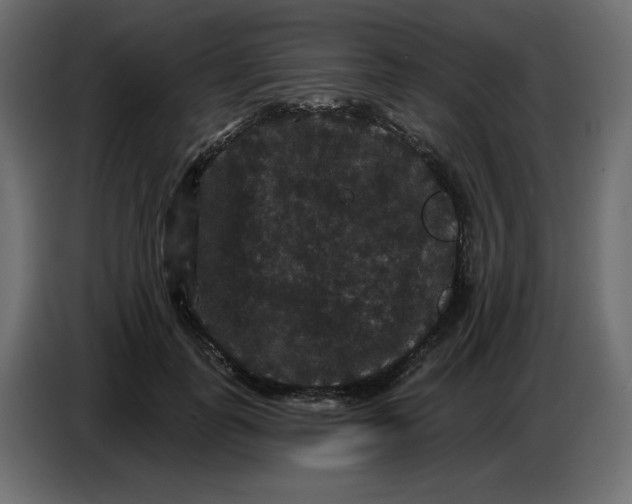 X0000086730747200705041347