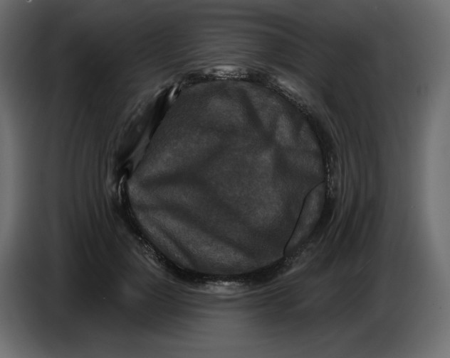 X0000086730748200705041347