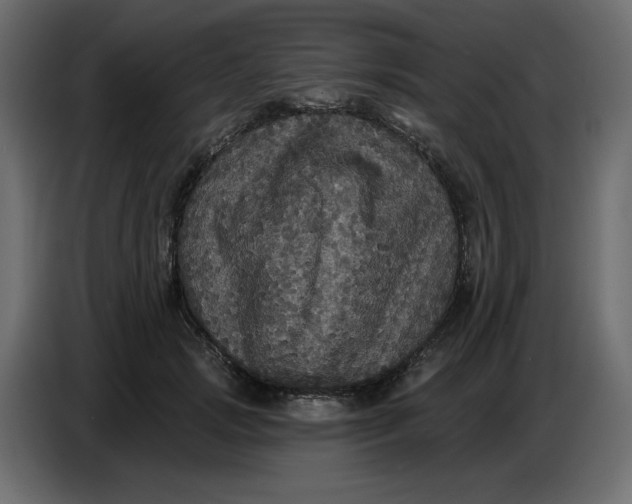 X0000086730749200705041347