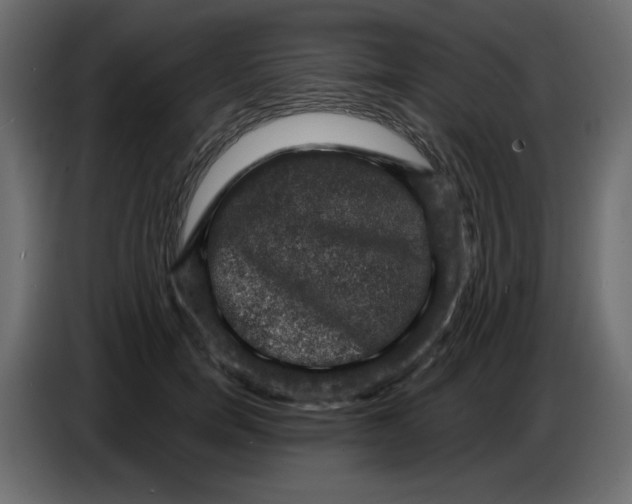 X0000086730750200705041347