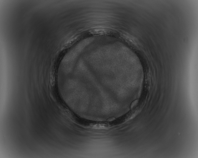 X0000086730751200705041347