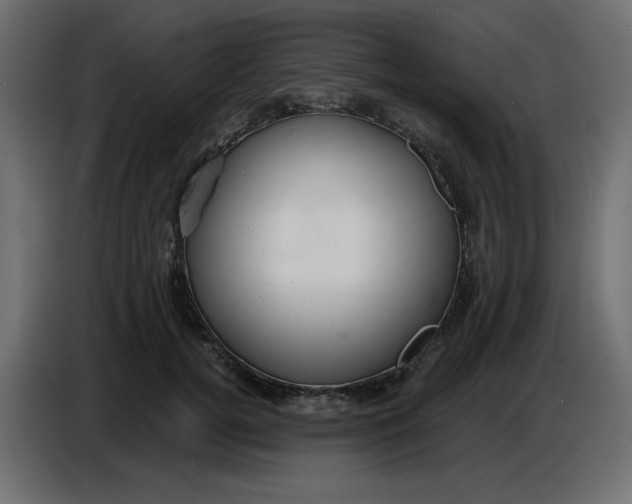 X0000086730752200705041347