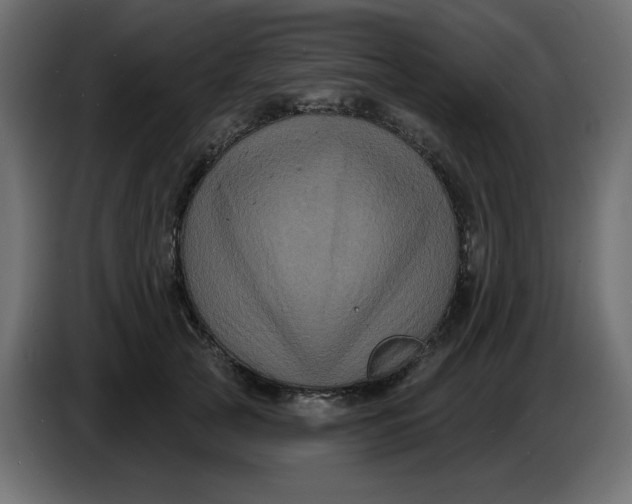 X0000086730753200705041347