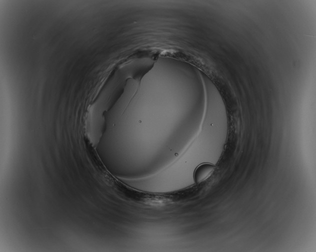 X0000086730754200705041347