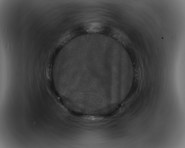 X0000086730755200705041347