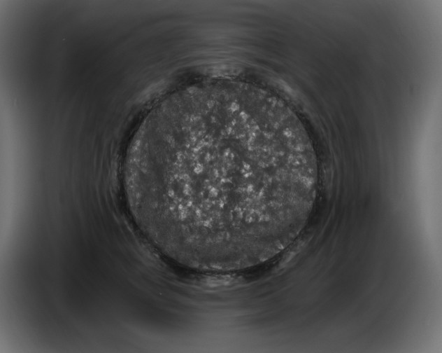 X0000086730757200705041347