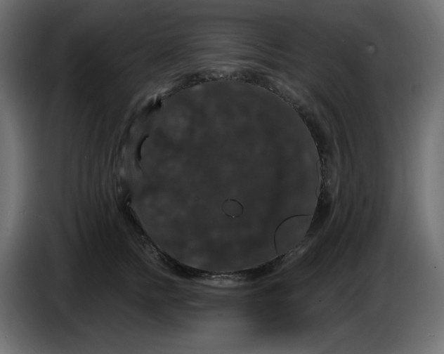 X0000086730758200705041347