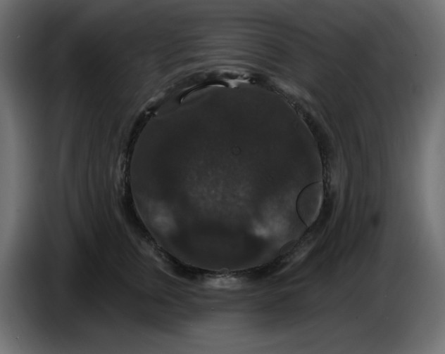 X0000086730759200705041347