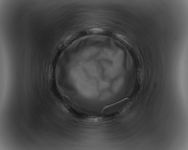 X0000086730760200705041347