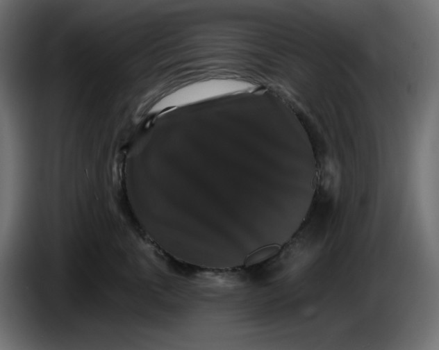 X0000086730763200705041347