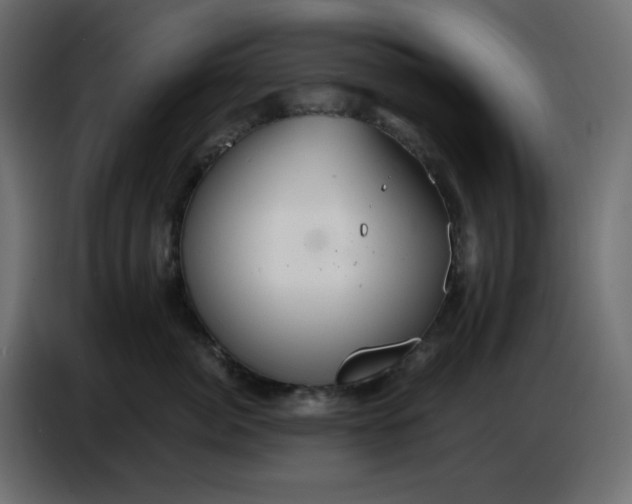 X0000086730764200705041347