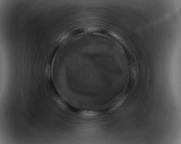 X0000086730766200705041347