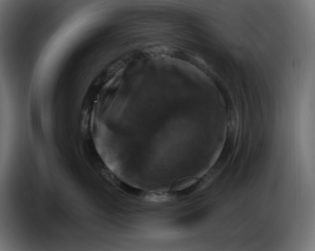 X0000086730767200705041347