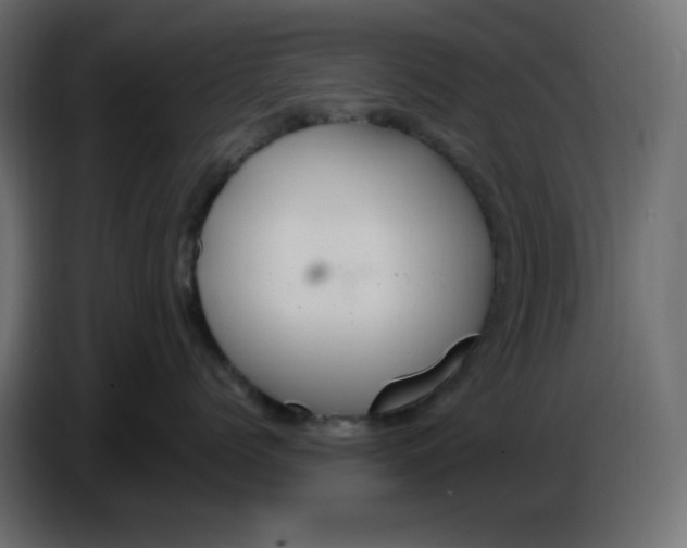 X0000086730768200705041347