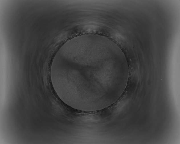 X0000086730769200705041347