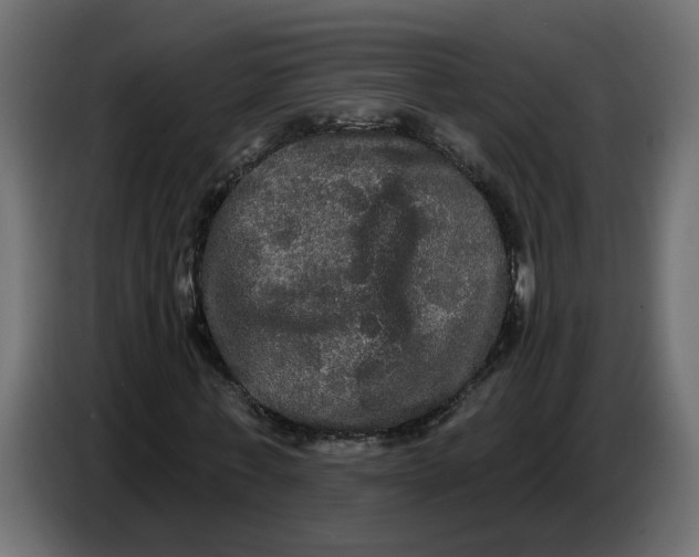 X0000086730771200705041347