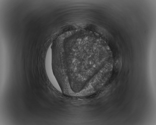 X0000086730772200705041347