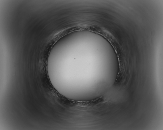 X0000086730773200705041347