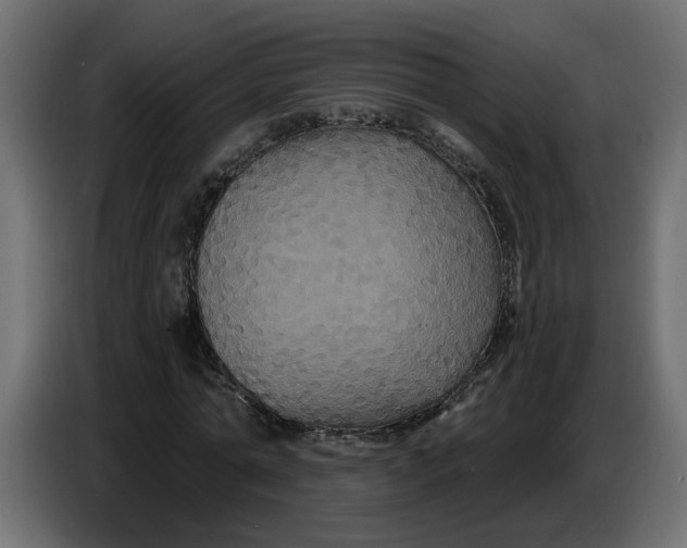 X0000086730774200705041347