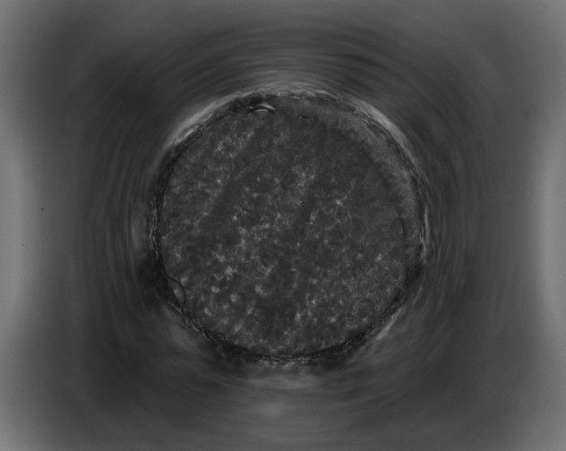 X0000086730775200705041347