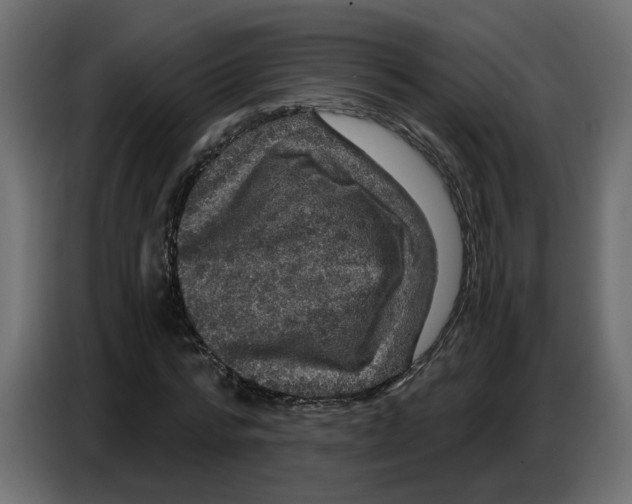 X0000086730776200705041347