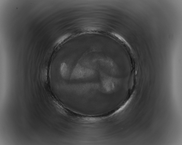 X0000086730777200705041347