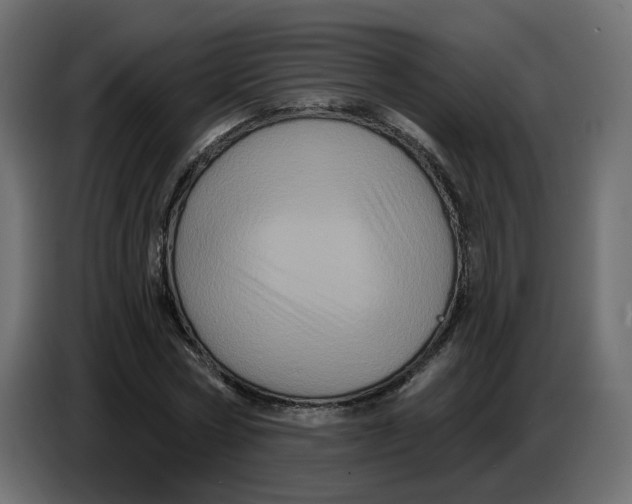 X0000086730778200705041347