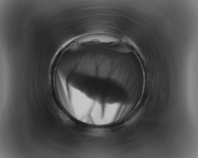 X0000086730779200705041347