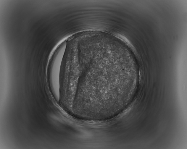 X0000086730780200705041347