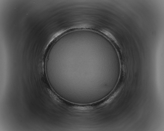 X0000086730781200705041347