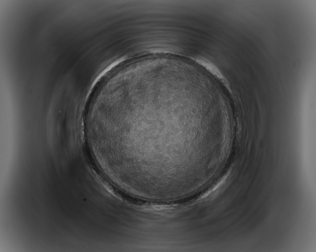 X0000086730782200705041347