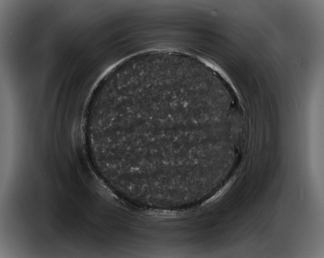 X0000086730783200705041346