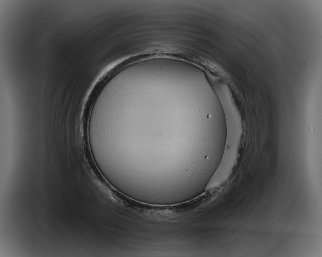 X0000086730784200705041346