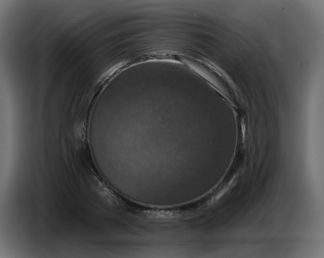 X0000086730785200705041346