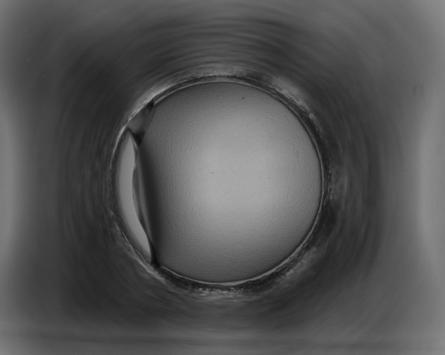 X0000086730786200705041346