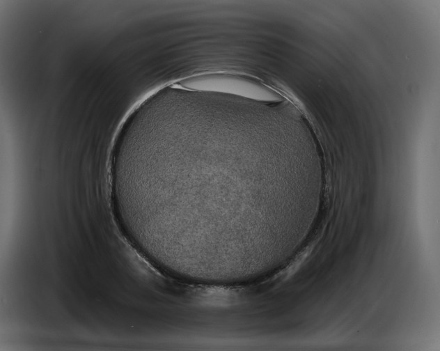 X0000086730787200705041346