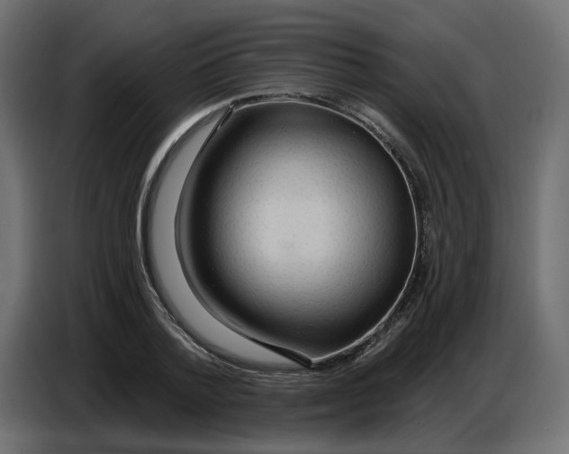 X0000086730788200705041346