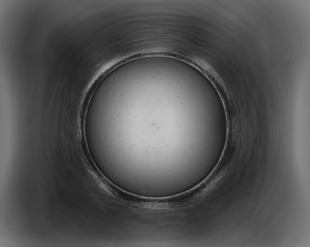 X0000086730789200705041346