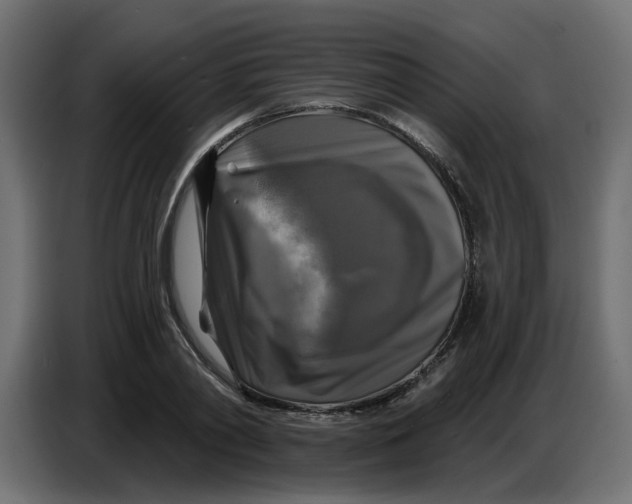 X0000086730790200705041346